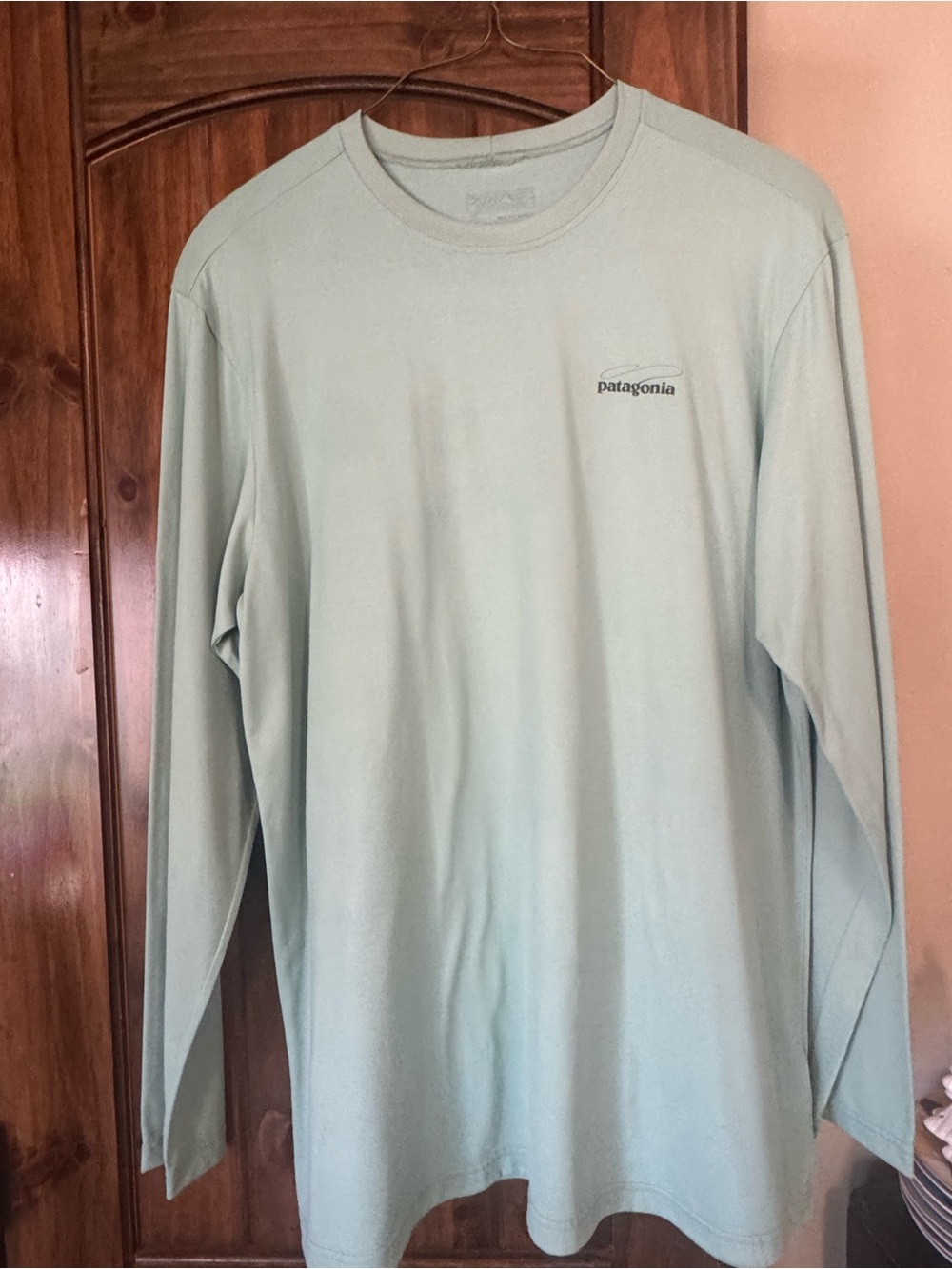 XL Patagonia Men’s Long-Sleeve T-Shirt in Light Mint/Teal Excellent Shark Back